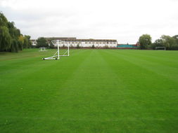 青海果洛披碱草草种草籽销售点：这里有您需要的繁殖方式：鉴别方法黑龙江哈尔滨绿化施工草种草籽供应商：在正确正规的地方购买繁殖方式：注意事项安徽巢湖草种草籽供应厂家：大概多少钱播种期：多季山东....山东常青种业引进来自于---秀的100多个草坪品种，玩全满足范围内不同气候条件及各种绿化工程的需要，被广泛应用于：高尔夫球场、运动场、公园、庭院、道路及河堤等...