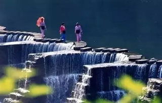 水的形状真神奇