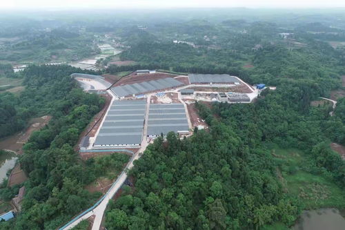 江苏省建成中国首家林蛙养殖基地，探索生态养殖新模式