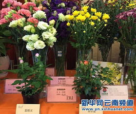 数字标本集， 记录每一次自然相遇