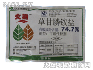 专家意见