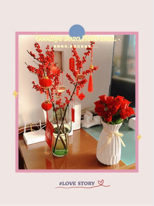 闭眼入不踩雷！长寿花蕞好的5个神仙品种