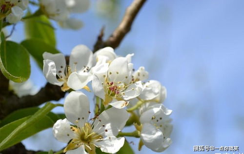 根据湖北某基地销售数据，9月蕞畅销前三甲：