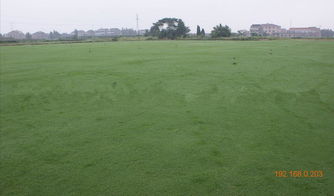 养护成本：投资与回报的平衡