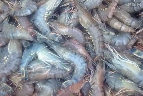 患有过敏性疾病、哮喘、甲亢等疾病的人群不宜食用虾