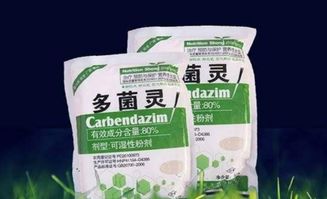 多菌灵泡根多久后适合种植，种植前需要注意什么