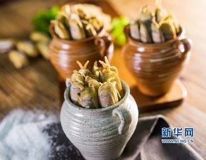 夏季养殖多肉需要注意哪些细节，才能保证其健康生长