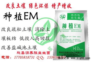 土里长白菌了担心用药效果？我来告诉你怎么办！