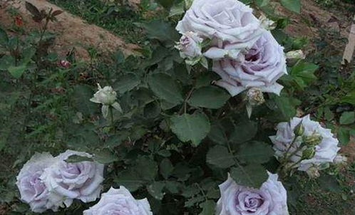 优点多多，你值得拥有