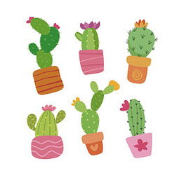 仙人掌花为何耐旱？