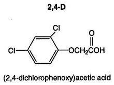 化学除草技术对土壤生态环境的污染