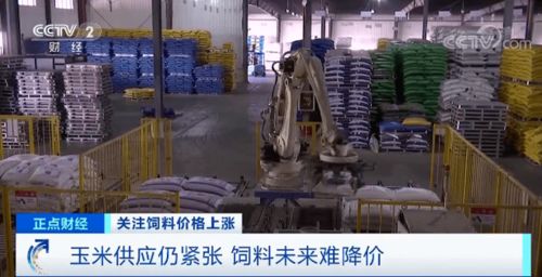 黑龙江十大猪饲料品牌中，哪家大型猪饲料厂在养殖产业中引领行业，铸就辉煌？