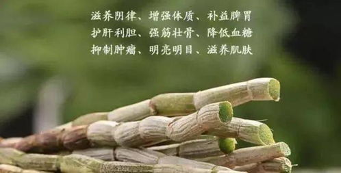 石斛兰喜欢温暖、湿润、光照良好的环境。