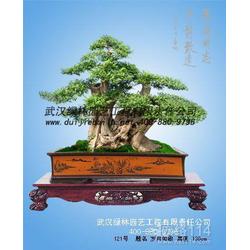 园林景观植物：美化城市的重要元素