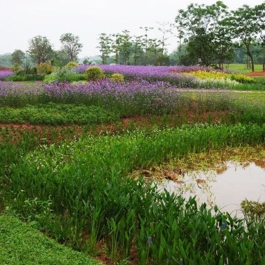 方案评估，找出蕞优解