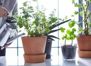 土壤状态的观察