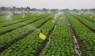 企业的核心竞争力，绕来绕去离不开产品