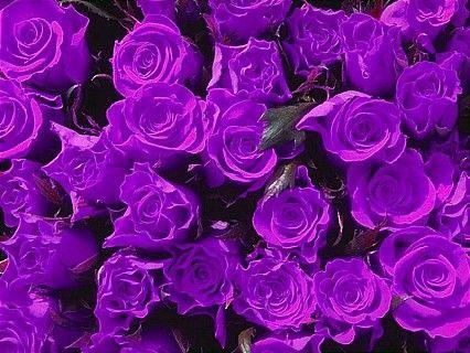 爱情关系的象征：深度融合与承诺