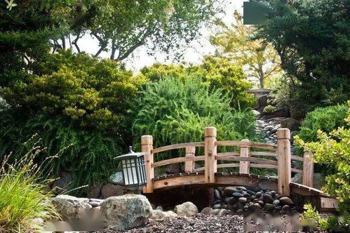 花园小溪边的花海梦寻