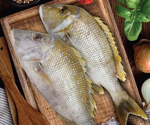 鱼类：ω-3脂肪酸的守护者