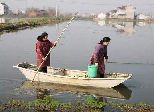 养殖水域环境污染严重