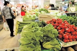 荷花根茎叶的市场行情