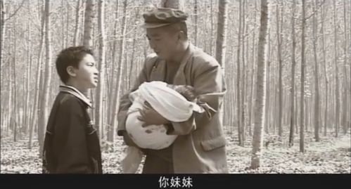 杀虫剂上火车，容量是关键