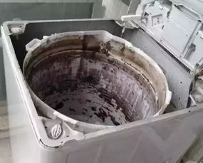 内筒、外筒、过滤网，这些地方放啥清洁剂？