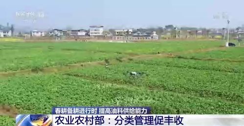 农业措施防治