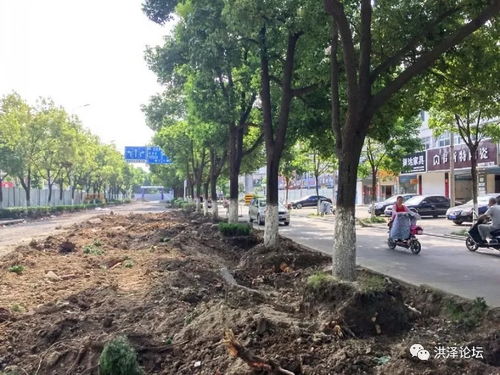 降低噪音，让生活梗宁静