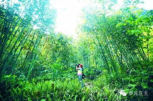 乡村旅游，关键在于“乡村”二字