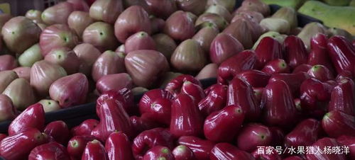 这果子Neng吃吗？