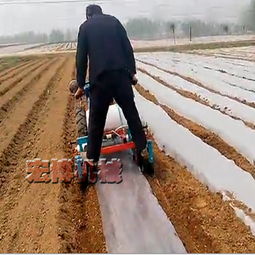 乙草胺喷洒疑问：地膜上的那些事儿