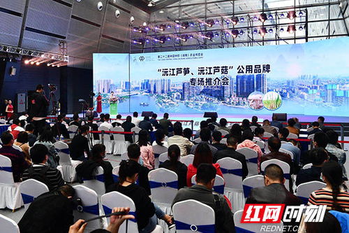 第二十二届中部农博会盛大开幕，农业发展迎来新机遇