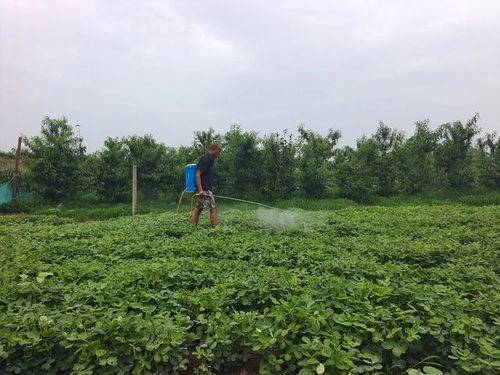 使用方法也要讲究