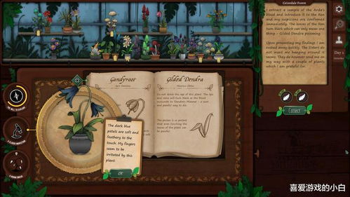 奇异庄园：园艺奇境的奇幻之旅