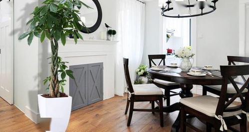 卧室植物选择：打造舒适睡眠空间