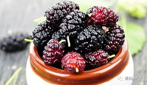 桑葚食用指南：感冒期间能否享用？