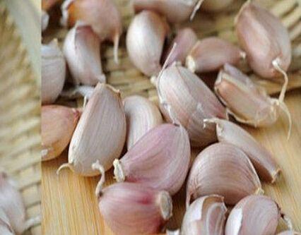 泡的时间，泡的方法，dou要讲究