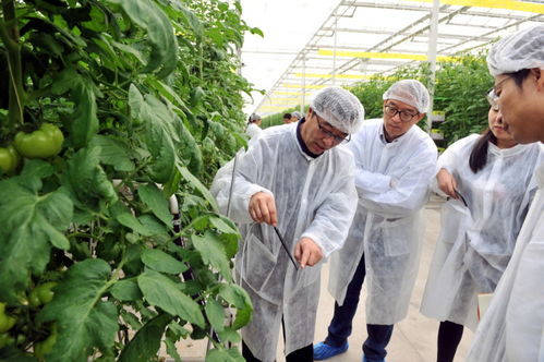 农业养殖关键在防疫、饲料、环境与人才