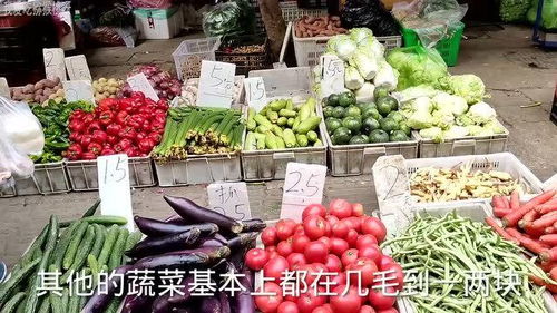 成都猪肉价格查询，今天猪肉多少钱一斤？