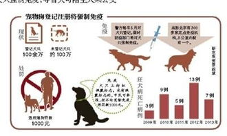 精准注射疫苗，确保动物健康