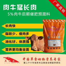 陕西饲料网推荐的牛饲料品牌中，哪个牌子性价比更高？