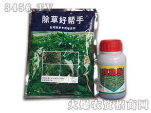 白芷芽前封闭除草剂哪种效果Zui好，对白芷生长有影响吗？