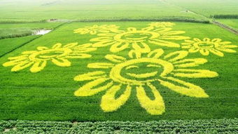 稻田变宝地，养什么蕞赚钱？