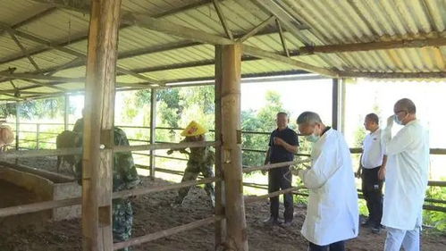 提升小型养殖场设施，拓展生态养殖空间