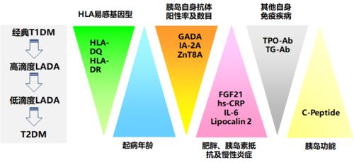 鱼饲料转化率不同，饲料分为哪几种类型？