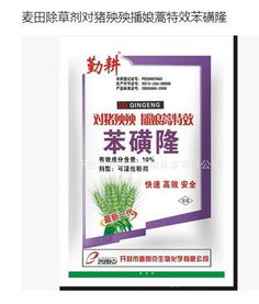 恢复过程，心酸又心累