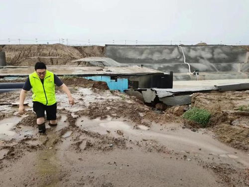 如何制定畜牧业应对暴雨洪涝灾害的防灾减灾技术方案？