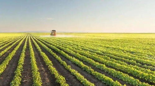 我国微生物肥料助力花卉业，累计应用超1.5亿亩！